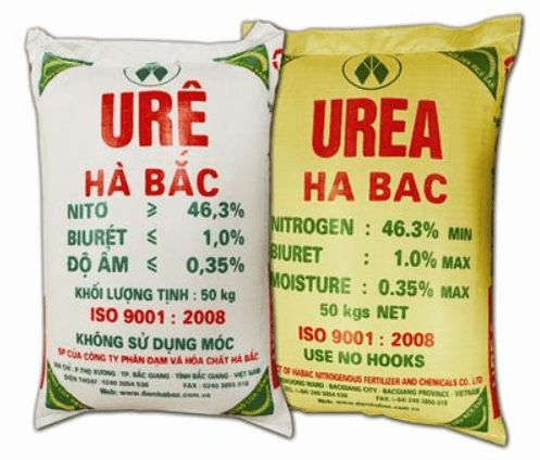 Bao ure 2